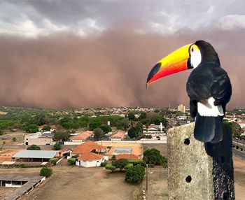 O cheiro da chuva